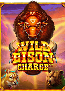 Super Ace ทดลองเล่น: เล่นง่าย ได้เงินจริง